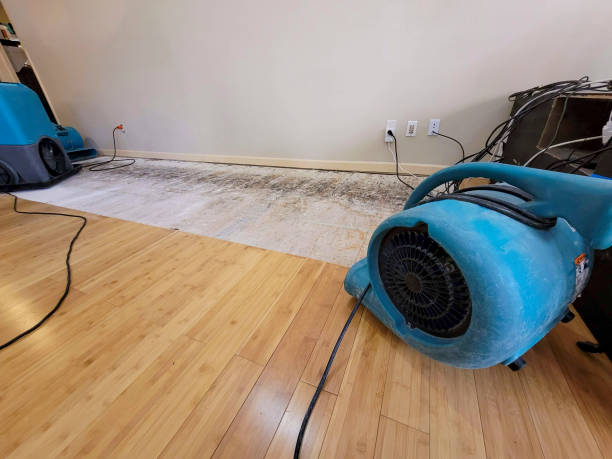 Professional Water Damage Repair technician working in Sanger, CA